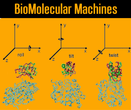 Molecular Machines