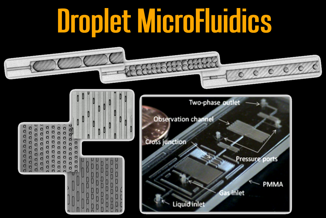 Non-equilibrium MD of mononucleotide transport in nanoslits