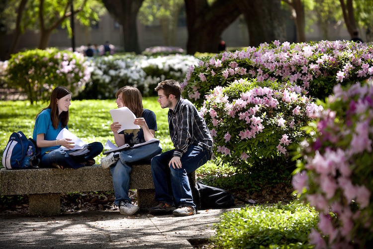 students sitting on bench in quad