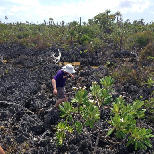 Exploring Little Cayman Island