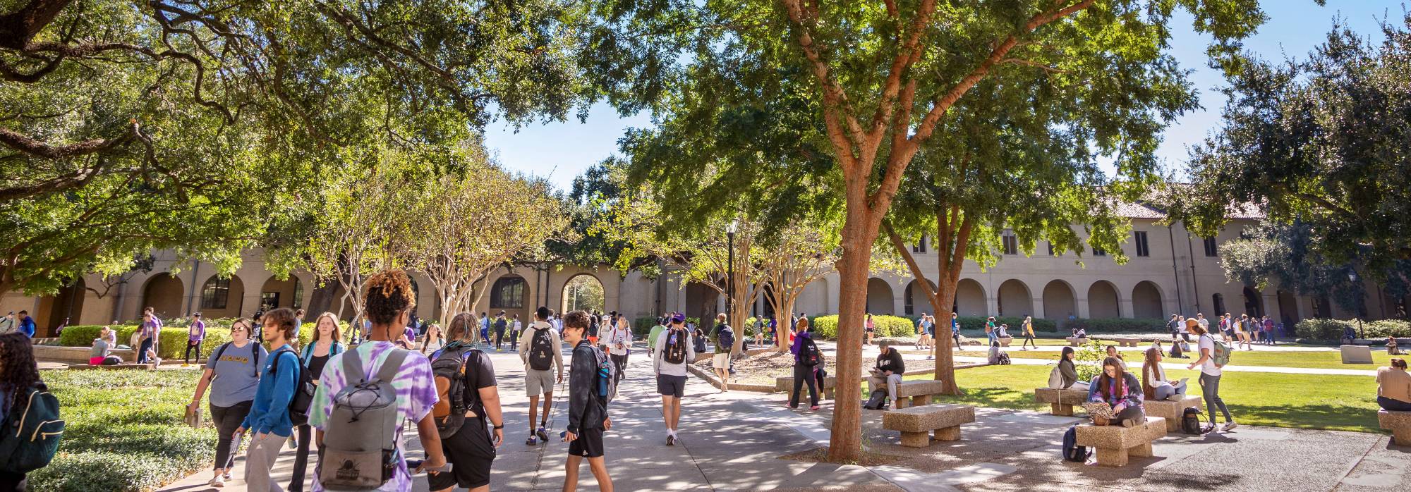 students in quadrangle