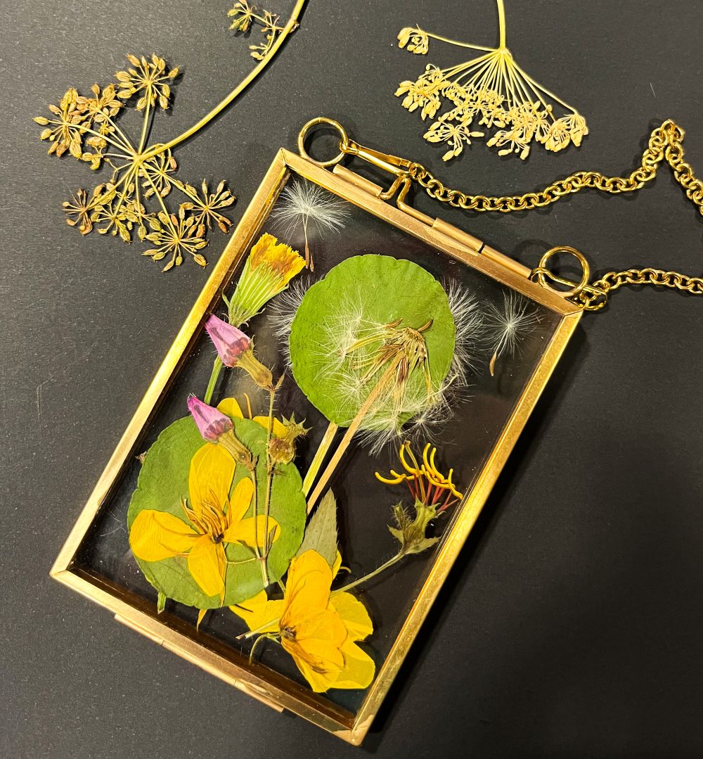 pressed flowers in a clear frame