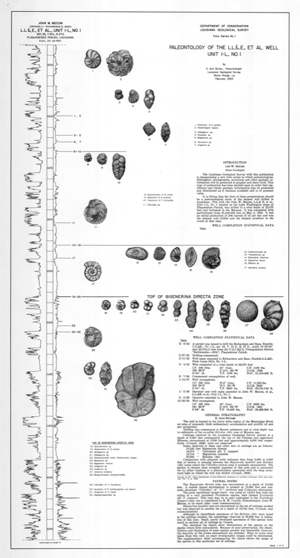 Paleontology of the L. L. & E. et al., Well Unit 1-L Paleontology of the L. L. & E. et al., Well Unit 1-L