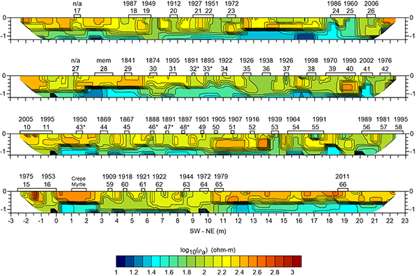 Electrical resistivity profiles of grave rows in a local cemetery