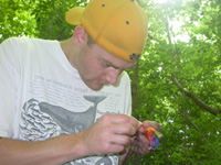 man observing bird