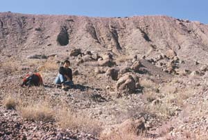 woman sitting down at excavation site