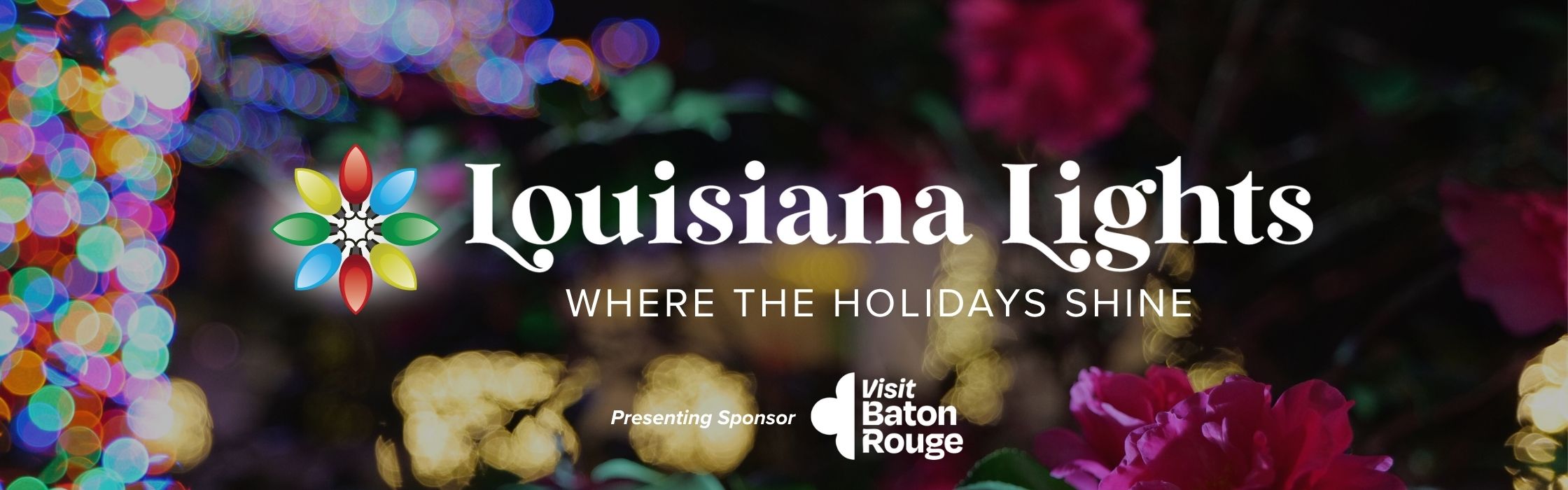 Louisiana Lights Banner