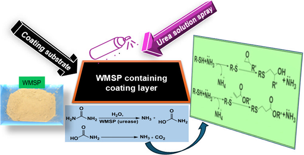 graphical Abstract depicting A Novel Approach to Cure-on-Demand Coatings Using Ammonia to Catalyze Thiol-Acrylate and Thiol-Epoxy Reactions