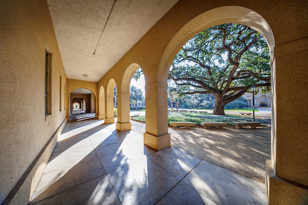 oak tree in quad through colonnade