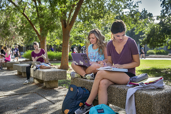 students in quad