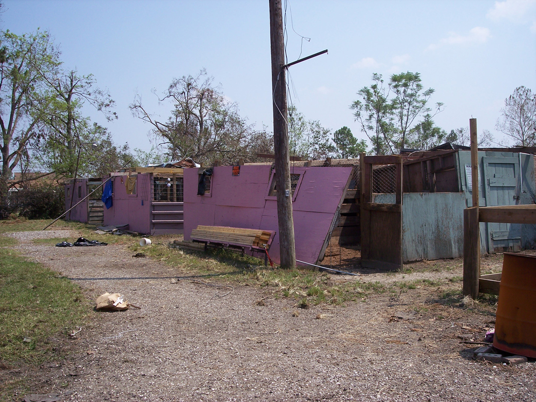collapsed stables